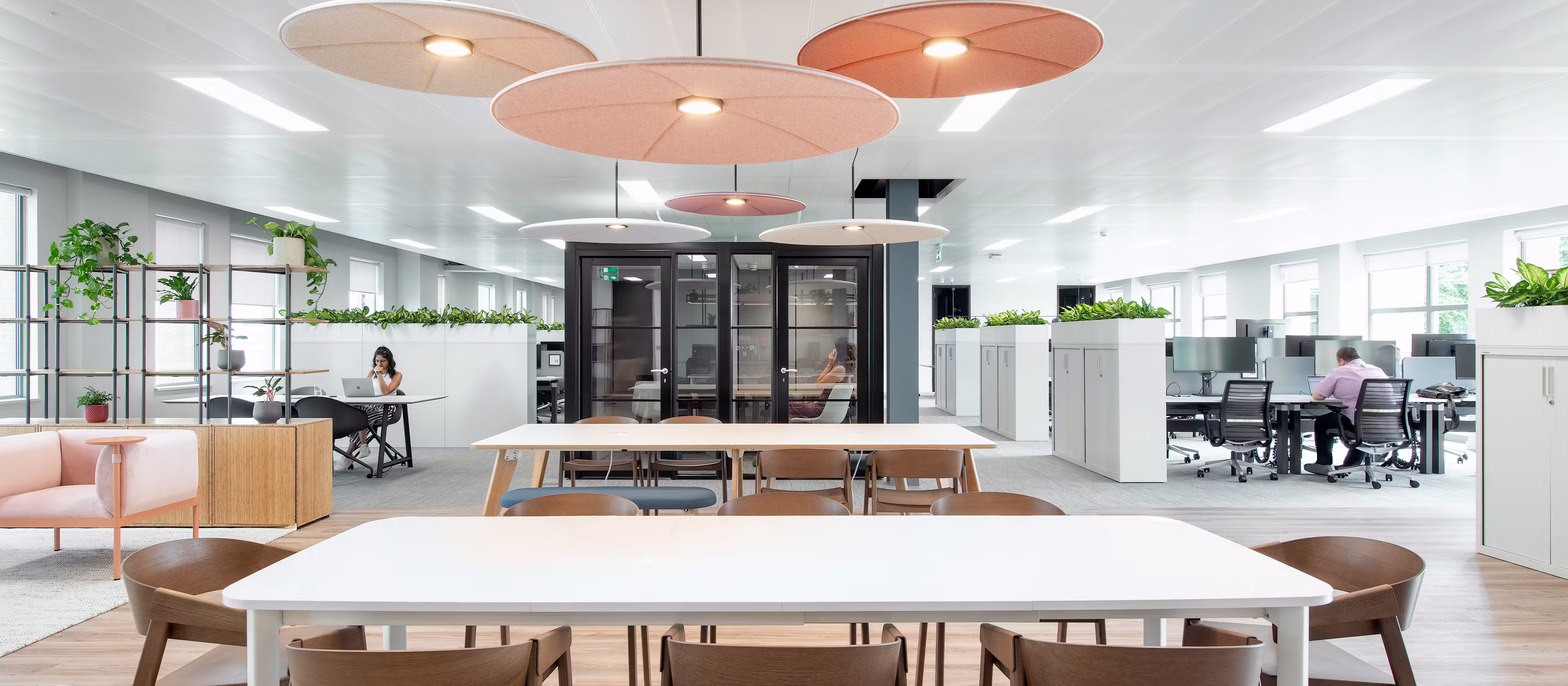 Net-App-05-highres-sRGB-4