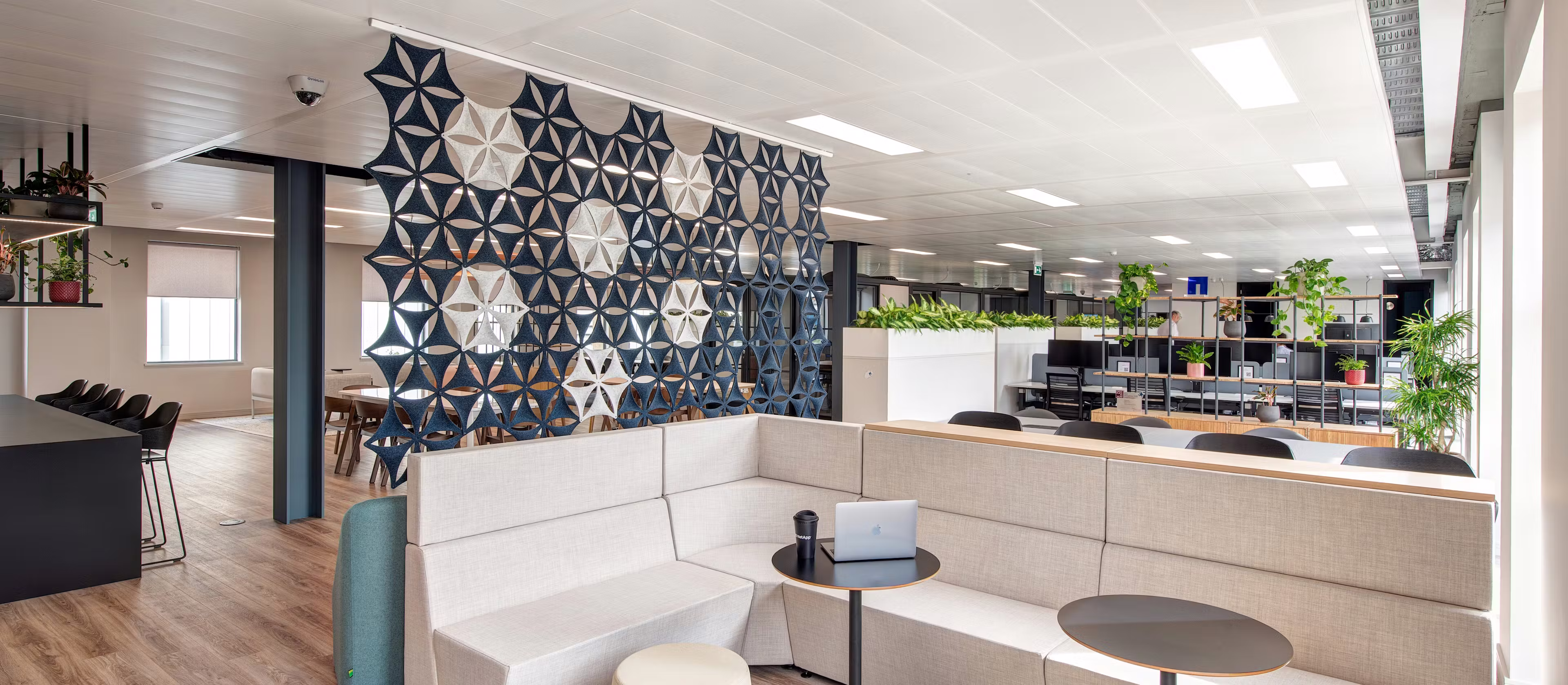 Net-App-19-highres-sRGB-scaled-1