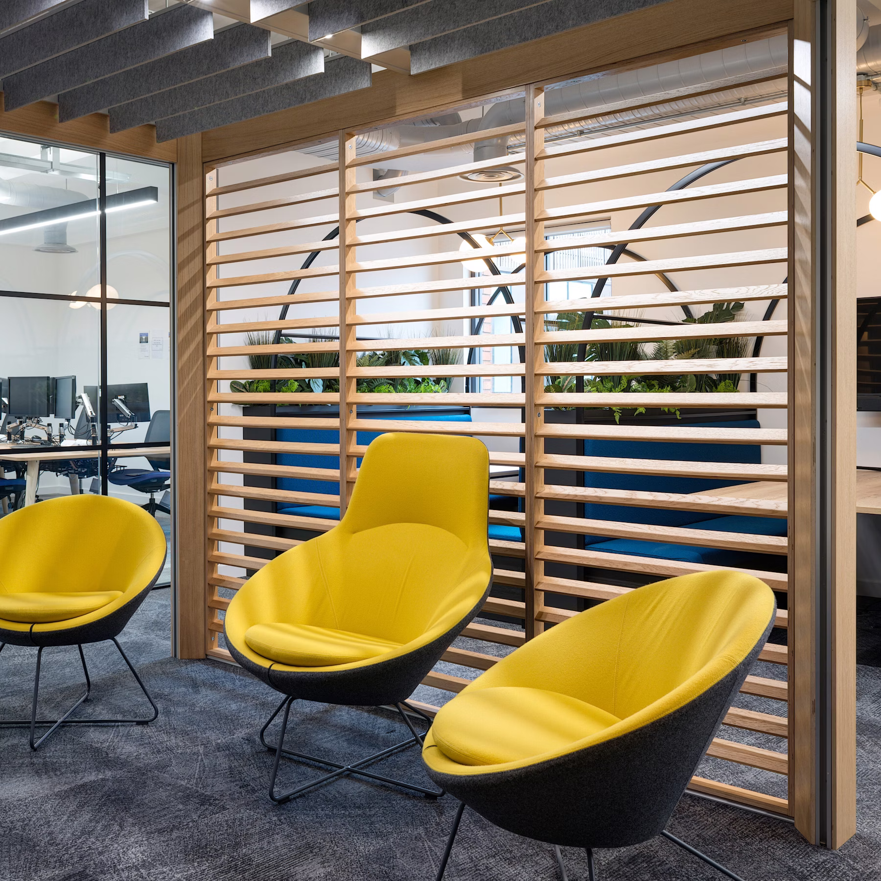 Saffery-14-highres-sRGB-scaled