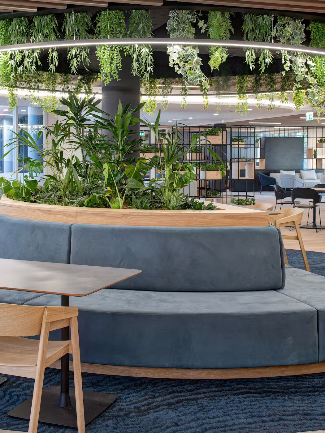 Stevens-Bolton-19-highres-sRGB-1