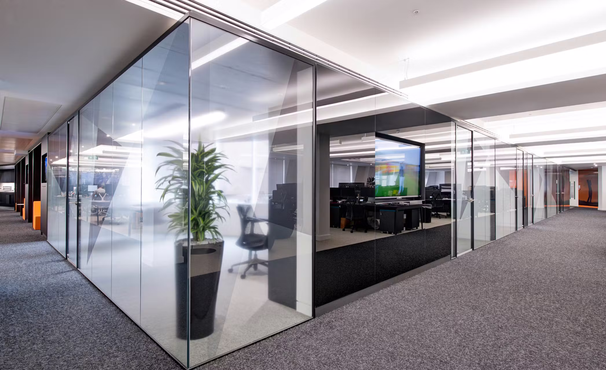 Wassermans-12-highres-sRGB